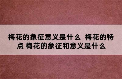 梅花的象征意义是什么  梅花的特点 梅花的象征和意义是什么